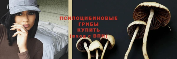 бутират Алзамай