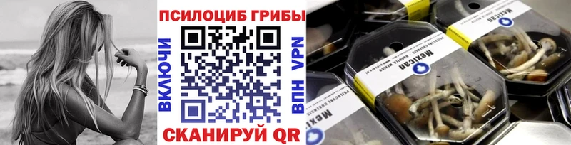 закладки  Орск  Псилоцибиновые грибы мицелий 